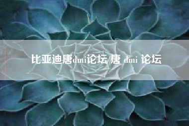 比亚迪唐dmi论坛/唐 dmi 论坛 比亚迪唐dmi论坛/唐 dmi 论坛