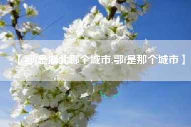 【鄂f是湖北哪个城市,鄂f是那个城市】