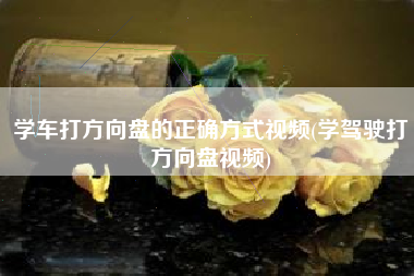 学车打方向盘的正确方式视频(学驾驶打方向盘视频)