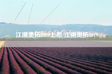 江南奥拓2020上市/江南奥拓2019