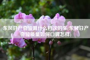 东风日产奇骏算什么档次的车(东风日产奇骏质量如何口碑怎样) 东风日产奇骏算什么档次的车(东风日产奇骏质量如何口碑怎样)