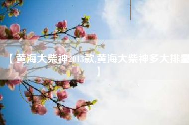 【黄海大柴神2013款,黄海大柴神多大排量】 【黄海大柴神2013款,黄海大柴神多大排量】