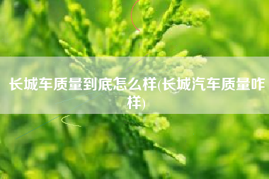 长城车质量到底怎么样(长城汽车质量咋样)