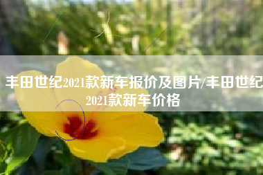 丰田世纪2021款新车报价及图片/丰田世纪2021款新车价格 丰田世纪2021款新车报价及图片/丰田世纪2021款新车价格