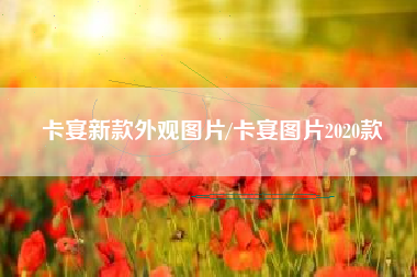 卡宴新款外观图片/卡宴图片2020款