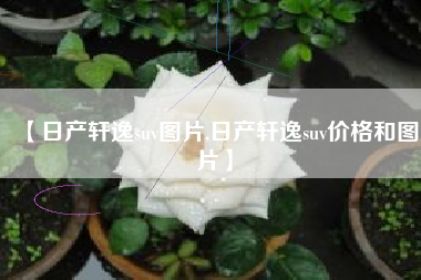【日产轩逸suv图片,日产轩逸suv价格和图片】 【日产轩逸suv图片,日产轩逸suv价格和图片】