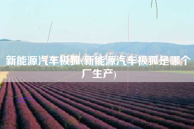 新能源汽车极狐(新能源汽车极狐是哪个厂生产) 新能源汽车极狐(新能源汽车极狐是哪个厂生产)