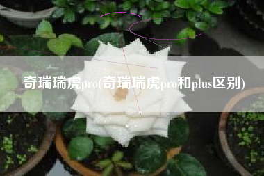 奇瑞瑞虎pro(奇瑞瑞虎pro和plus区别)