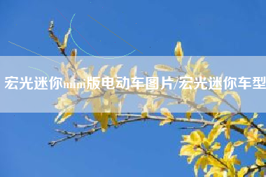 宏光迷你mini版电动车图片/宏光迷你车型