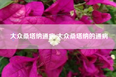 大众桑塔纳通病/大众桑塔纳的通病