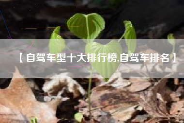 【自驾车型十大排行榜,自驾车排名】 【自驾车型十大排行榜,自驾车排名】