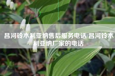 昌河铃木利亚纳售后服务电话/昌河铃木利亚纳厂家的电话 昌河铃木利亚纳售后服务电话/昌河铃木利亚纳厂家的电话