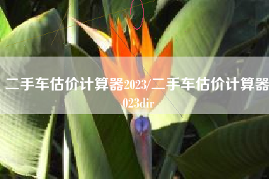二手车估价计算器2023/二手车估价计算器 023dir