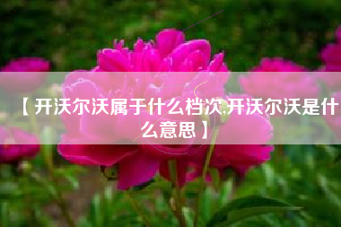 【开沃尔沃属于什么档次,开沃尔沃是什么意思】