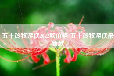 五十铃牧游侠2022款价格/五十铃牧游侠最新款