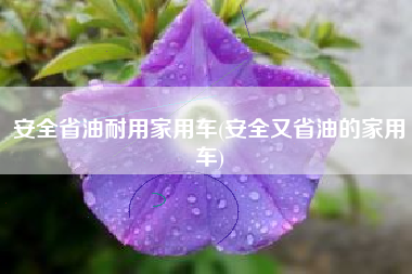 安全省油耐用家用车(安全又省油的家用车) 安全省油耐用家用车(安全又省油的家用车)