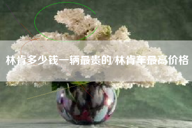 林肯多少钱一辆最贵的/林肯车最高价格