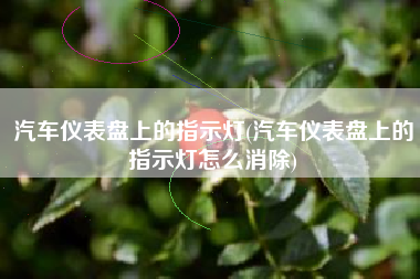 汽车仪表盘上的指示灯(汽车仪表盘上的指示灯怎么消除)