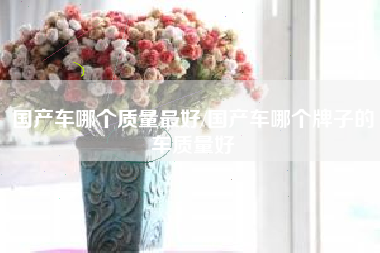 国产车哪个质量最好/国产车哪个牌子的车质量好 国产车哪个质量最好/国产车哪个牌子的车质量好