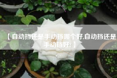 【自动挡还是手动挡哪个好,自动挡还是手动挡好?】 【自动挡还是手动挡哪个好,自动挡还是手动挡好?】