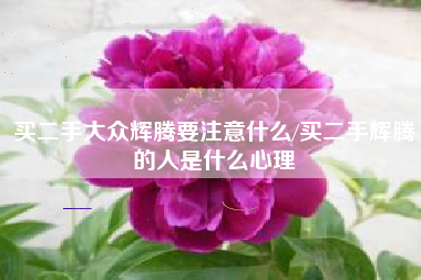 买二手大众辉腾要注意什么/买二手辉腾的人是什么心理