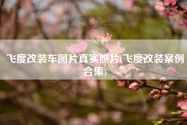 飞度改装车图片真实照片(飞度改装案例合集) 飞度改装车图片真实照片(飞度改装案例合集)