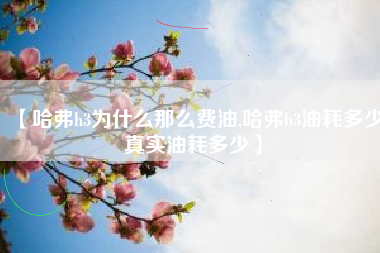 【哈弗h3为什么那么费油,哈弗h3油耗多少真实油耗多少】