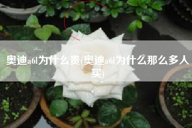 奥迪a6l为什么贵(奥迪a6l为什么那么多人买) 奥迪a6l为什么贵(奥迪a6l为什么那么多人买)