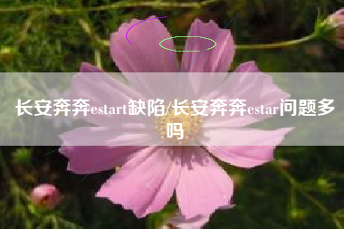 长安奔奔estart缺陷/长安奔奔estar问题多吗 长安奔奔estart缺陷/长安奔奔estar问题多吗