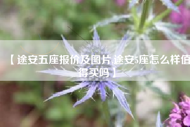 【途安五座报价及图片,途安5座怎么样值得买吗】 【途安五座报价及图片,途安5座怎么样值得买吗】