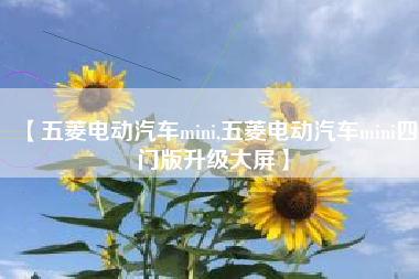 【五菱电动汽车mini,五菱电动汽车mini四门版升级大屏】 【五菱电动汽车mini,五菱电动汽车mini四门版升级大屏】