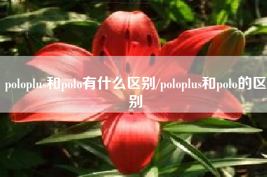 poloplus和polo有什么区别/poloplus和polo的区别