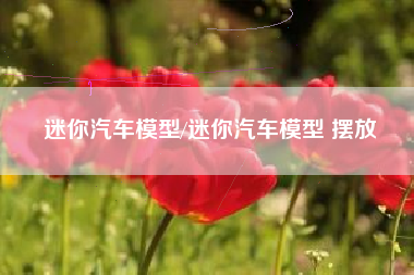 迷你汽车模型/迷你汽车模型 摆放