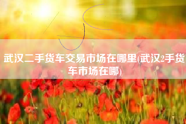 武汉二手货车交易市场在哪里(武汉2手货车市场在哪)