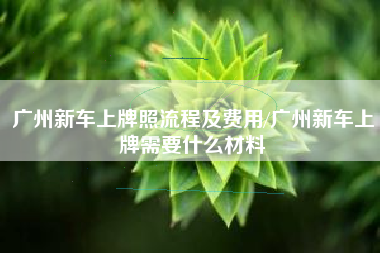 广州新车上牌照流程及费用/广州新车上牌需要什么材料