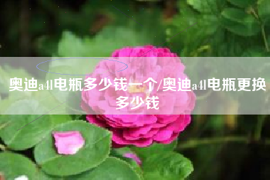 奥迪a4l电瓶多少钱一个/奥迪a4l电瓶更换多少钱