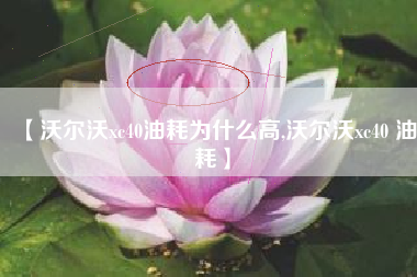 【沃尔沃xc40油耗为什么高,沃尔沃xc40 油耗】