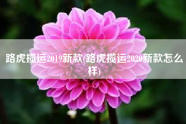 路虎揽运2019新款(路虎揽运2020新款怎么样) 路虎揽运2019新款(路虎揽运2020新款怎么样)
