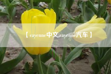 【cayenne中文,cayenne汽车】